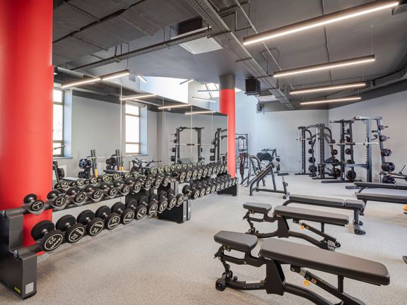 Gympro, интерьер