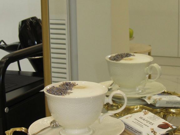 Hairsilk, интерьер
