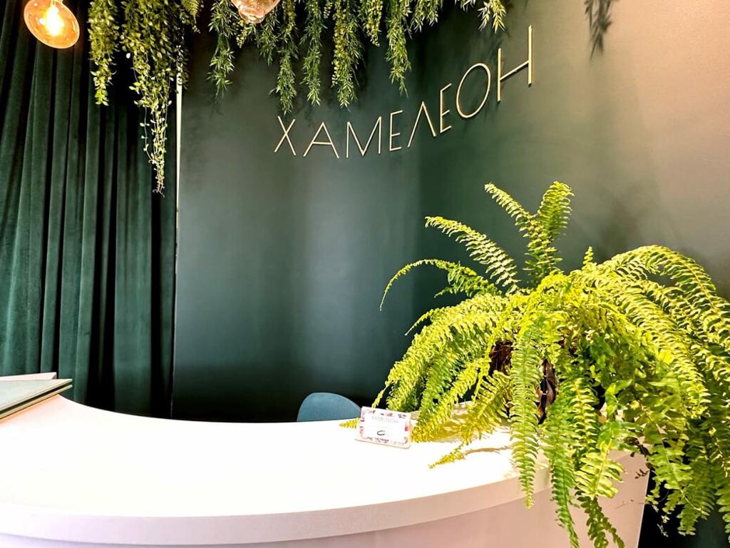 Хамелеон, интерьер
