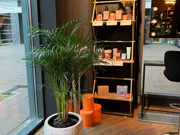 Healthy Hair & Muse Beauty, интерьер