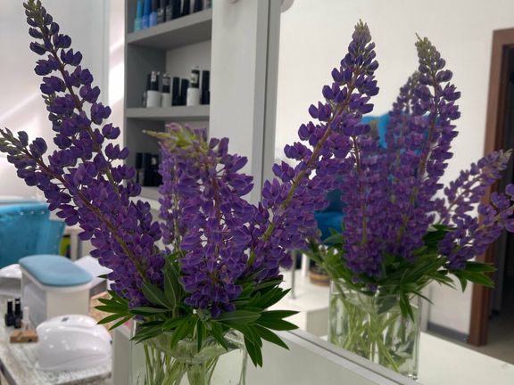Helena beauty room, интерьер
