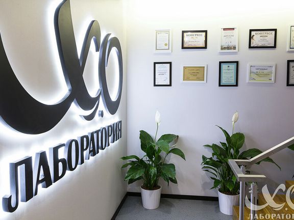 ХО Лаборатория, интерьер