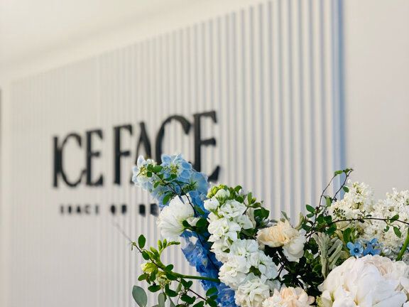 Ice Face, интерьер
