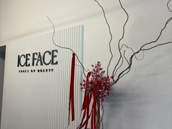 Ice Face, интерьер