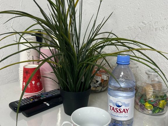 In lashes, интерьер