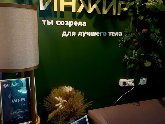 Инжир, интерьер