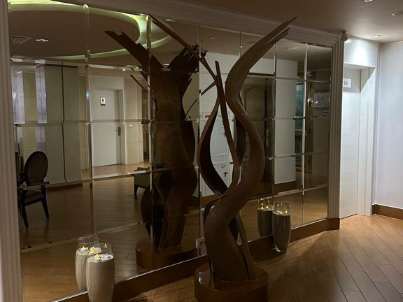 Iridium SPA, интерьер