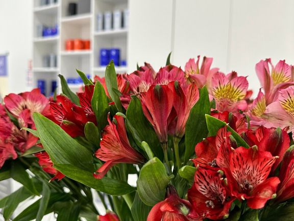 Is Clinic, интерьер