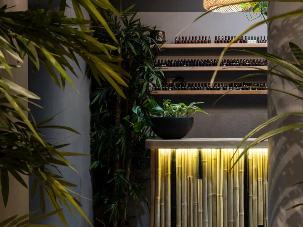 Jungle, интерьер