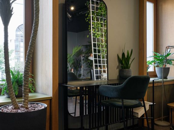 Jungle, интерьер