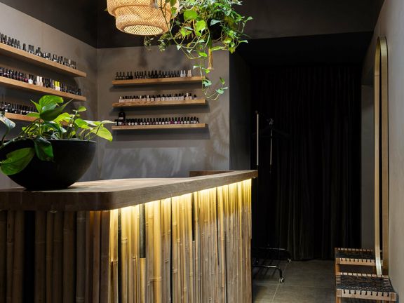 Jungle, интерьер