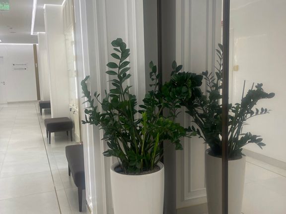 Juvi Clinic, интерьер