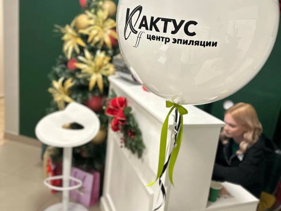 Кактус Off, интерьер