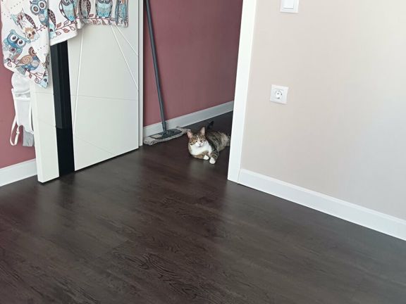 Классик-А, интерьер