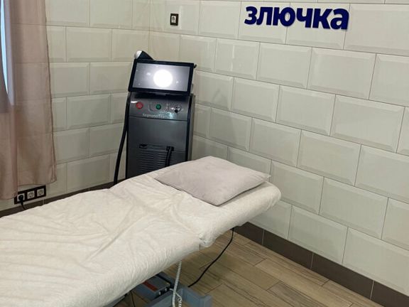 Колючая злючка, интерьер