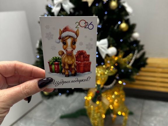 Королевство красоты, интерьер