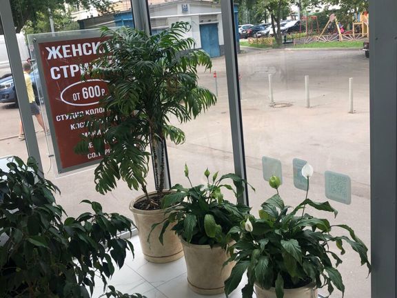 Краса клуб, интерьер
