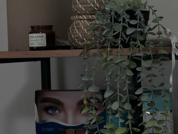 Kseni. browssss, интерьер