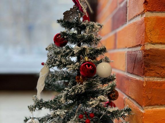 Лак и Лайк, интерьер