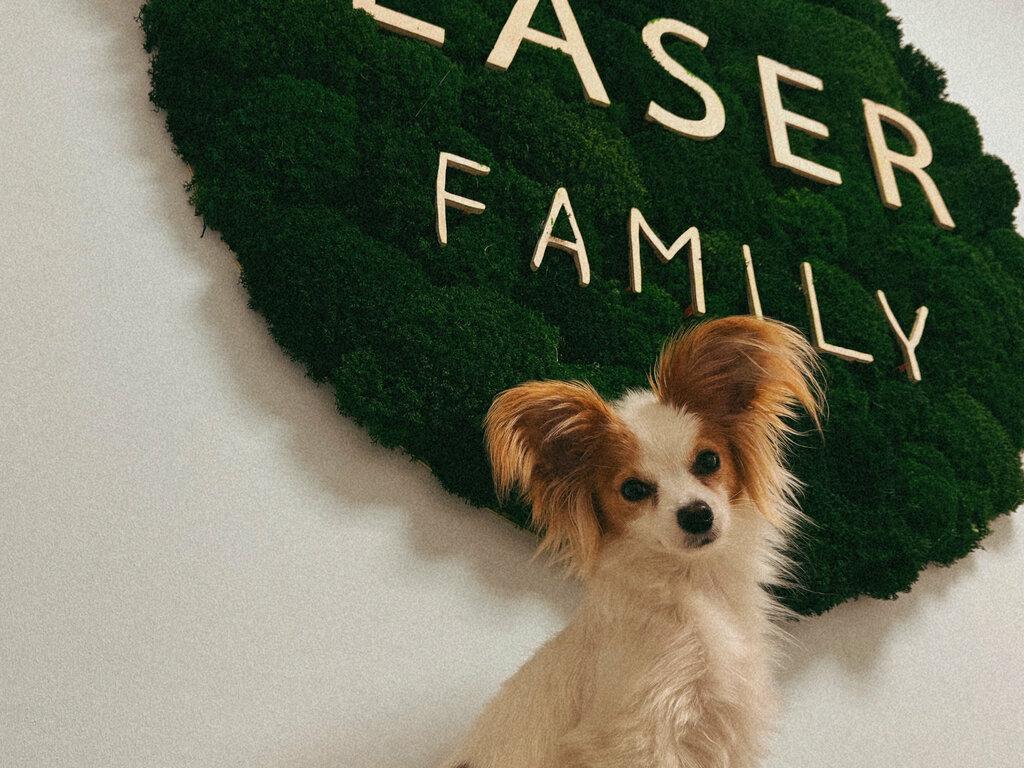 Laser Family, интерьер