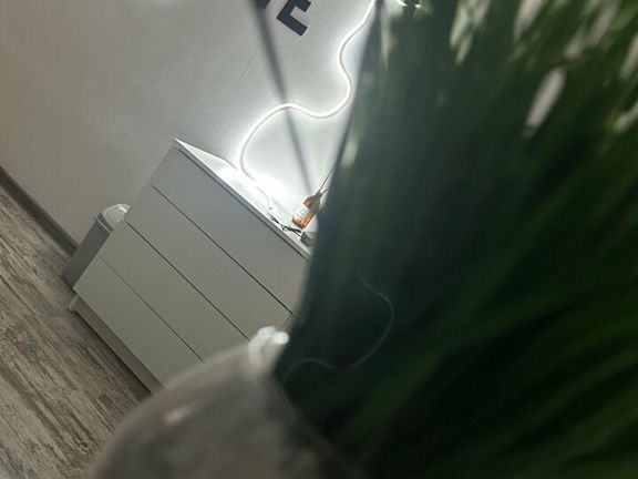 Lashes Time, интерьер