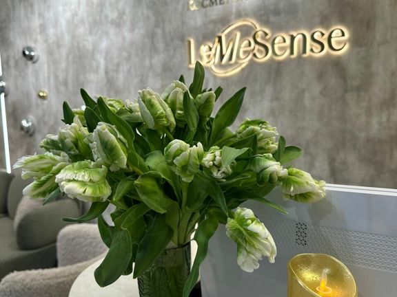 ЛеМеСенс, интерьер