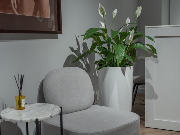 Lex Body Care, интерьер