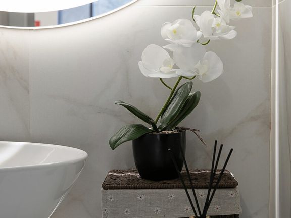Life Beauty, интерьер