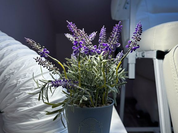 Lifestyle Beauty, интерьер
