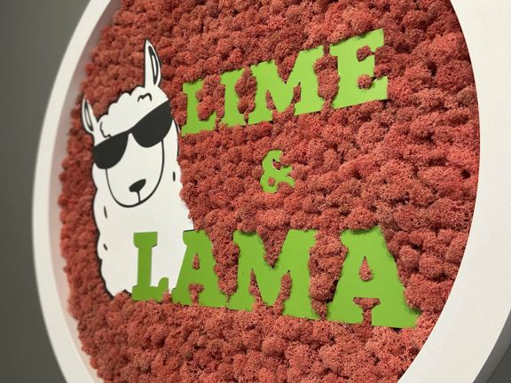 Lime And Lama, интерьер
