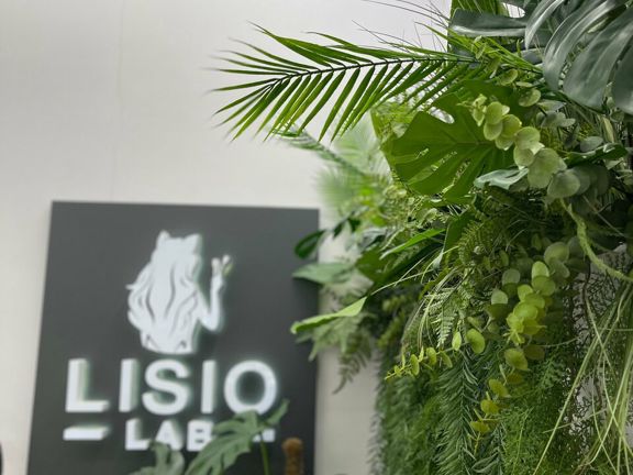 Lisio Lab, интерьер