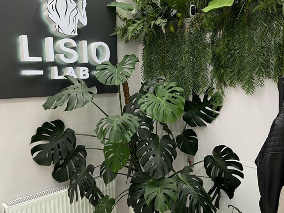 Lisio Lab, интерьер