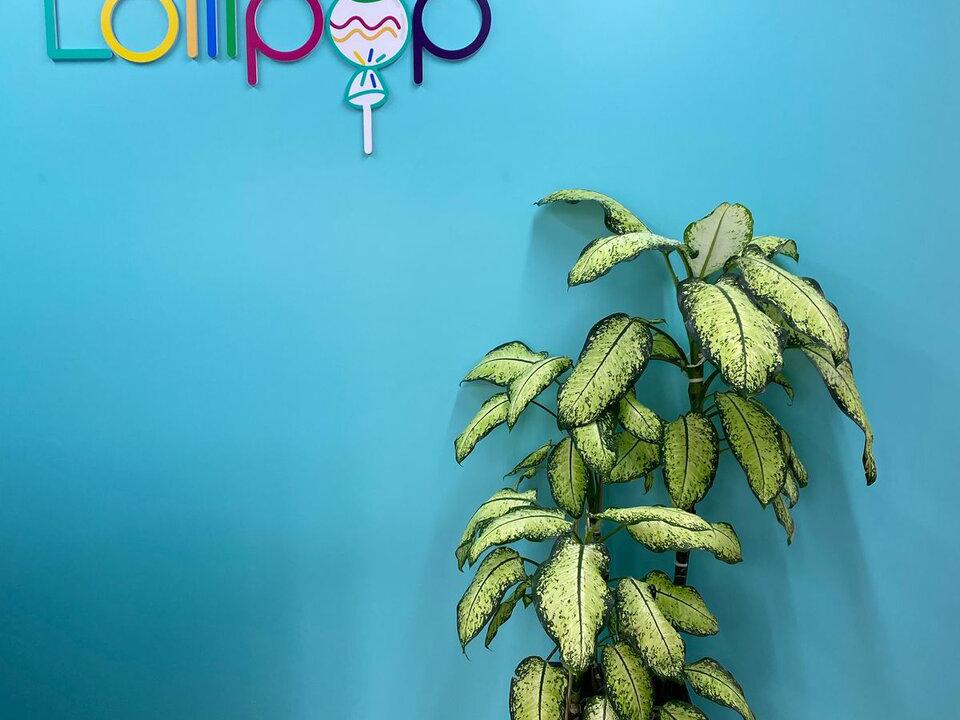 Lollipop, интерьер