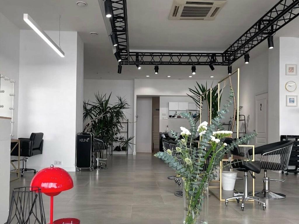 Losk hair, интерьер