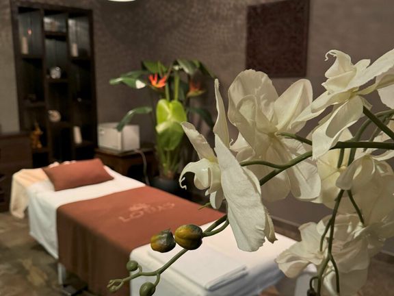 Lotus, интерьер