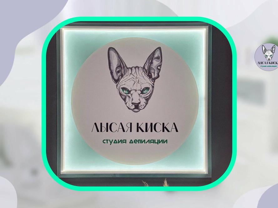 Лысая киска, интерьер