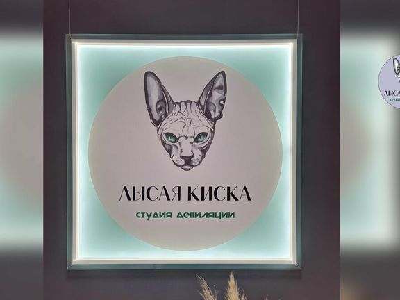 Лысая киска, интерьер