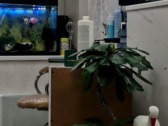 Маэстро, интерьер