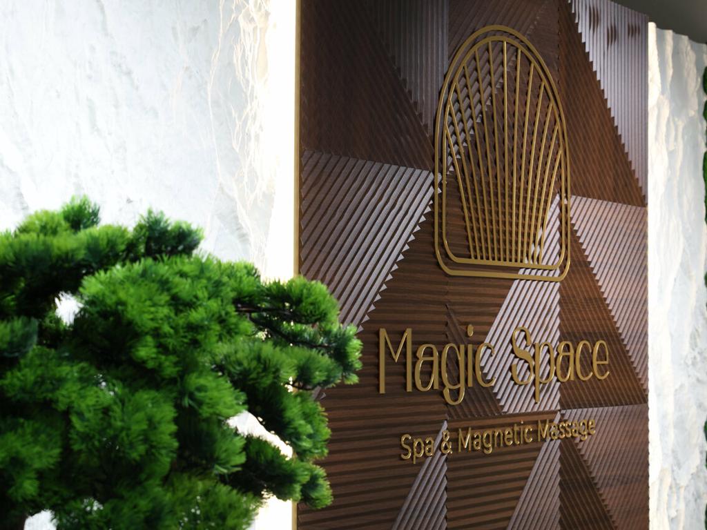 Magic Space, интерьер