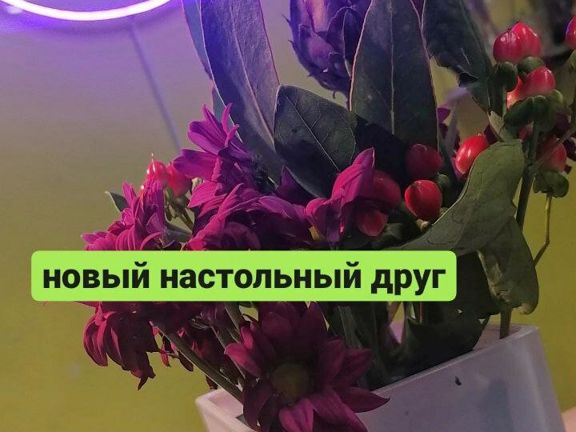 Массажбар № 1, интерьер