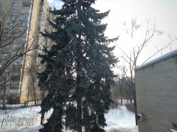 Массажный салон, интерьер