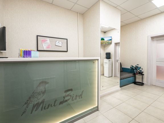 Mint bird studio, интерьер