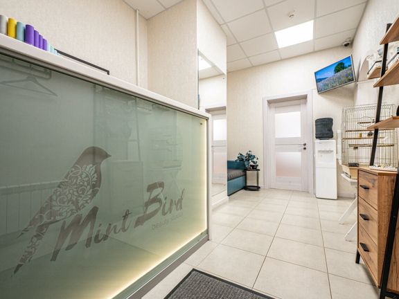 Mint bird studio, интерьер