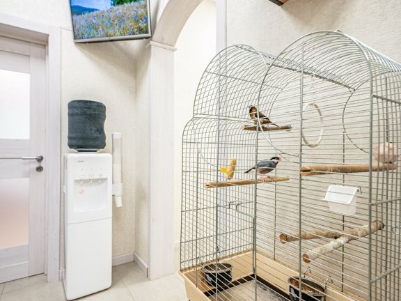 Mint bird studio, интерьер