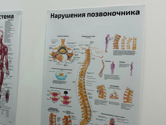 МиоФлекс, интерьер