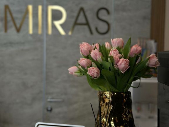 Miras, интерьер