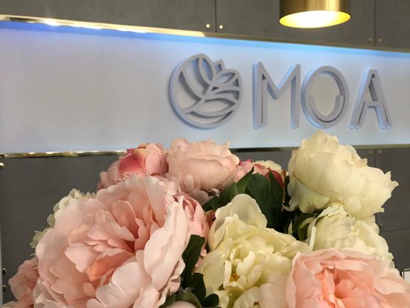 Moa Clinic, интерьер
