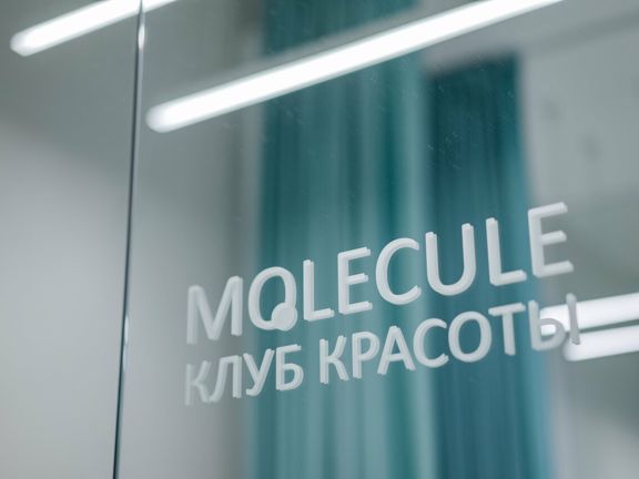 Molecule, интерьер