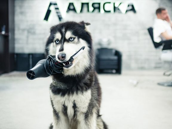Мужская парикмахерская Аляска, интерьер