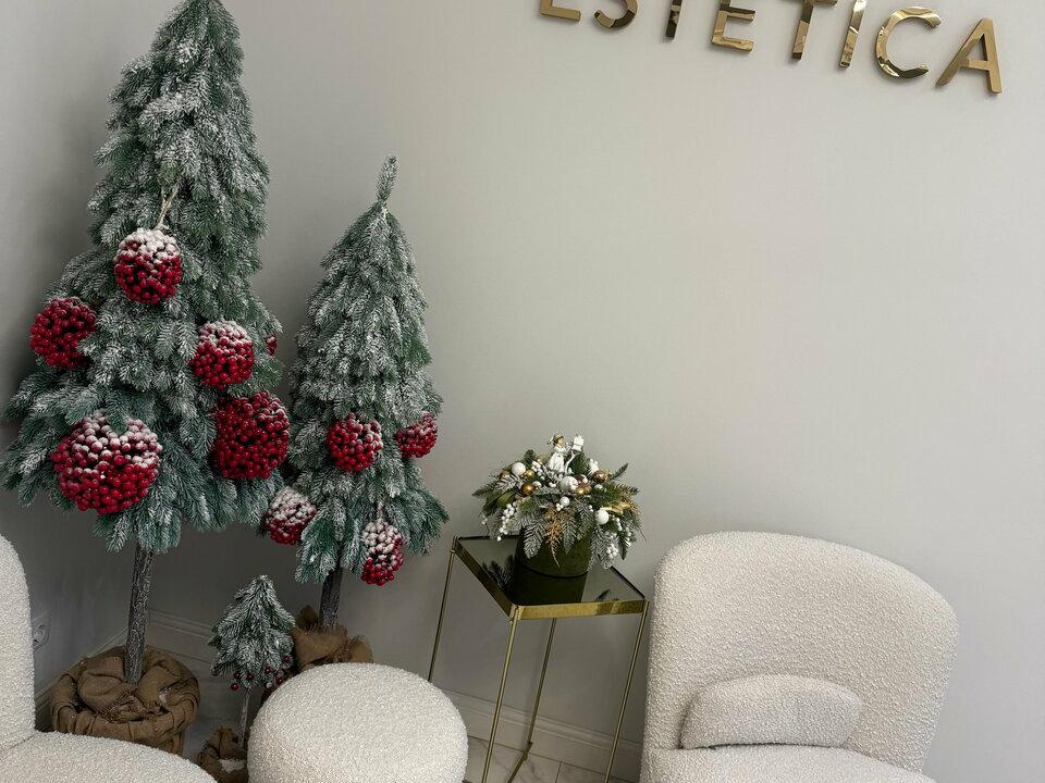 N Estetica, интерьер